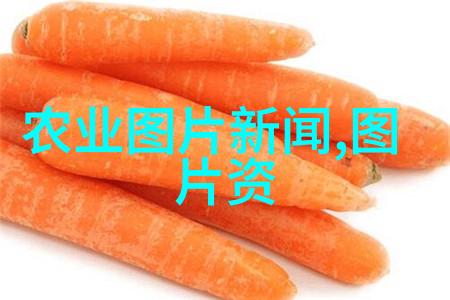 品味不同探索中国茶树的多样分类