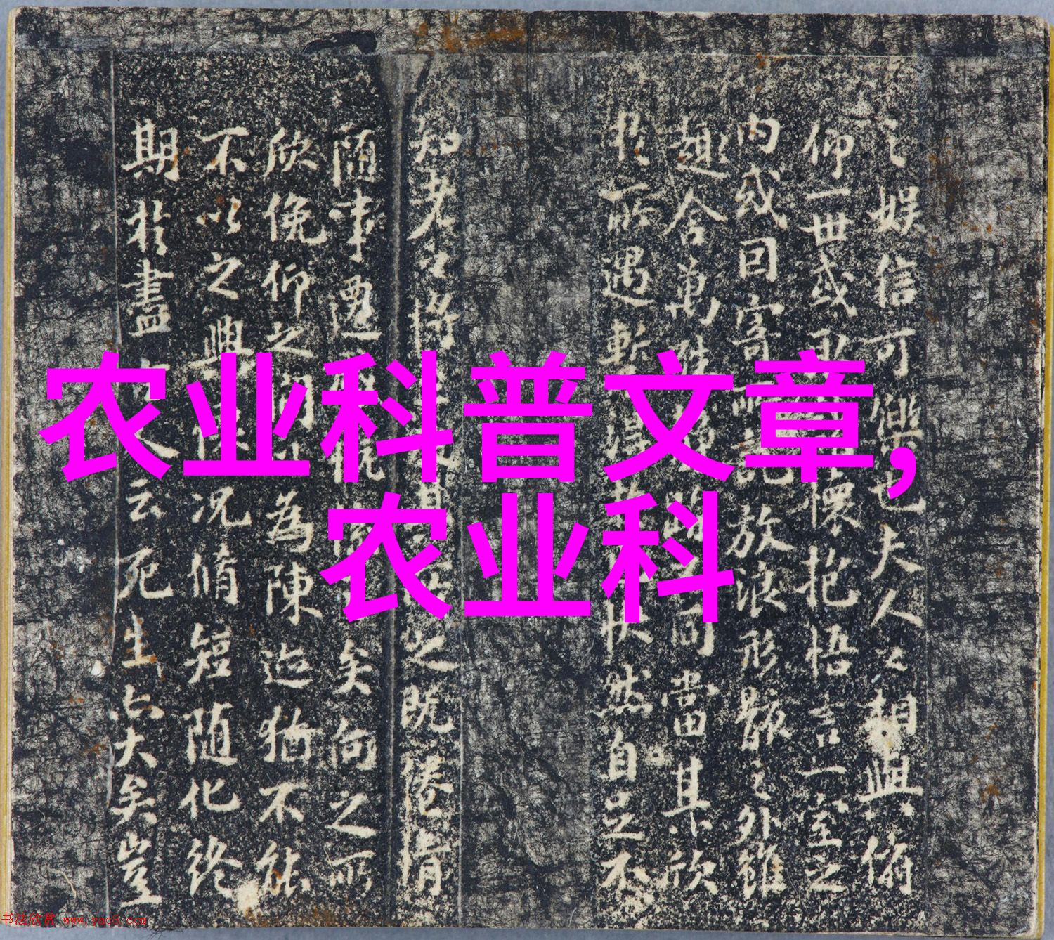 全套养蜂教程视频从初学者到专业蜂农的完整指南