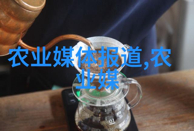 金丝楠苗木的市场热销10公分品种价格分析