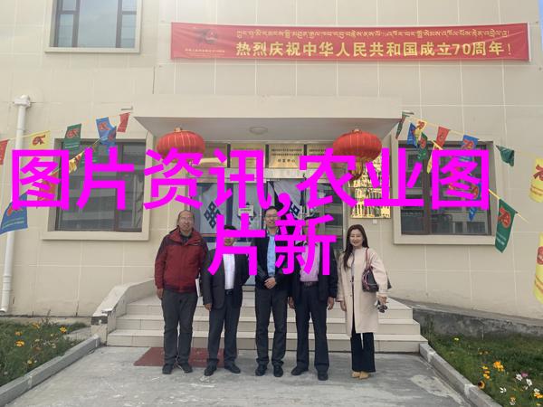 小狗的世界揭秘它们的社交结构