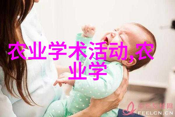 绽放的商机深入花卉市场调研的实用指南