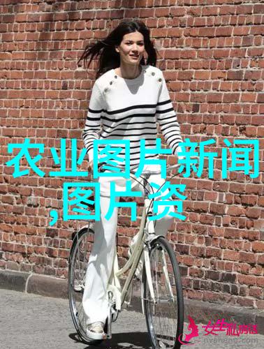蜂蜜世界探索格子箱养蜂技术的奇妙之处