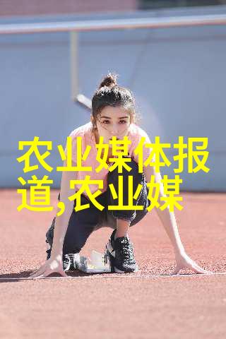物流管理精髓优化配送链提升供应链效率