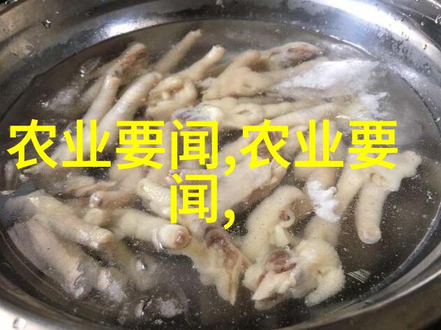 乌桕植物种植乌桕的价格和购买指南
