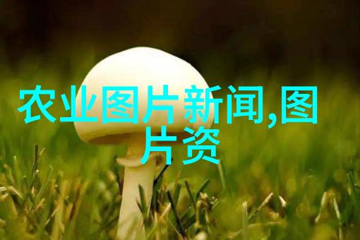 畜牧界巨擘揭秘最赚钱的饲养宝贝