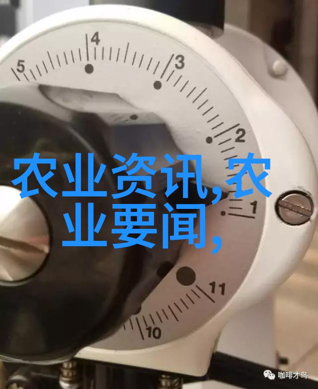 10公分法桐最新价格绿色植物种植的经济实惠选择