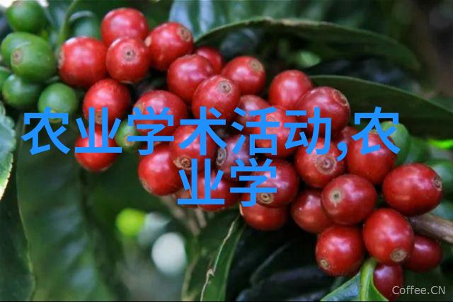 探索农业科技进步对优化农村种植方式的作用