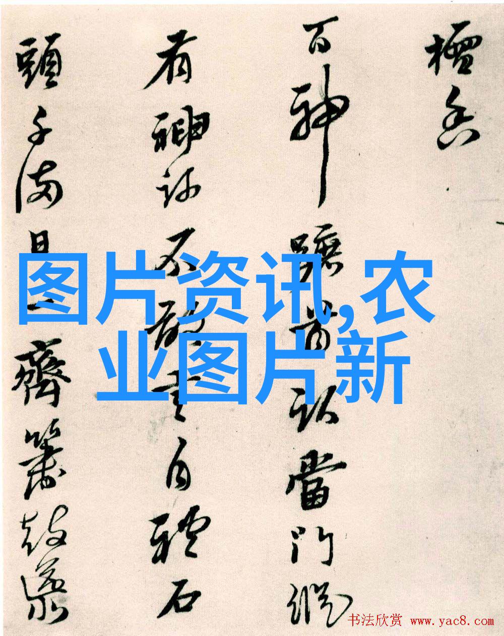中国农业信息网官方网站-绿色发展引领中国农业信息网如何助力现代农业
