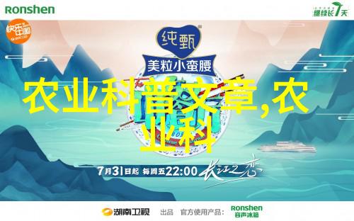 地方政策宣讲活动经验分享提升基层政务服务效率的实践案例