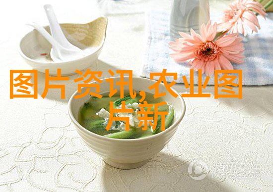 绿茵之巅苗木网大全