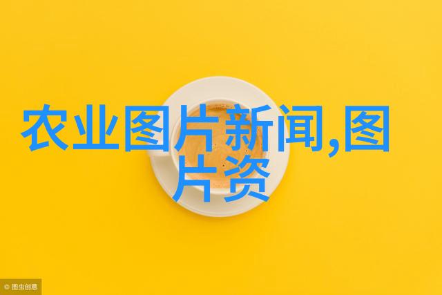 适合穷人的创业项目养殖我是如何用一双脚和一点点钱包揽下养鸡生意的