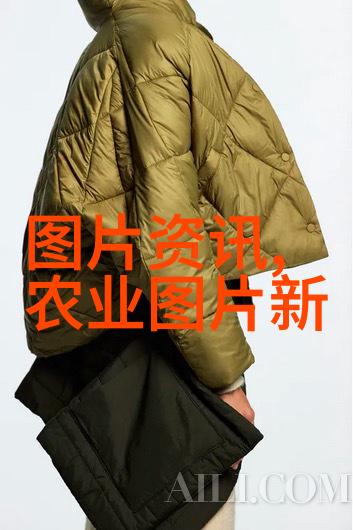 云南昆明鲜花批发市场来到这里你也能感受到春天的气息