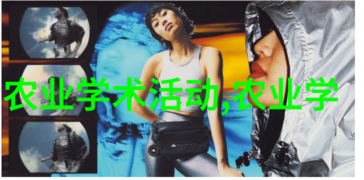 春日林间的宁静15公分五针松的价格与美学价值