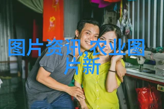 大棚菜新式大棚 - 现代农业革命新式大棚技术如何提升蔬菜产量与品质