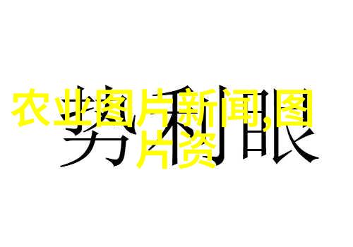 欧洲菊苣色泽鲜艳的健康蔬菜