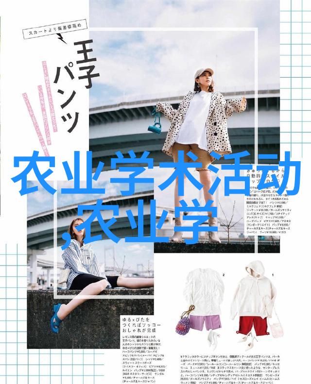 手扶小型旋耕机能否真正实现农业机械化的梦想