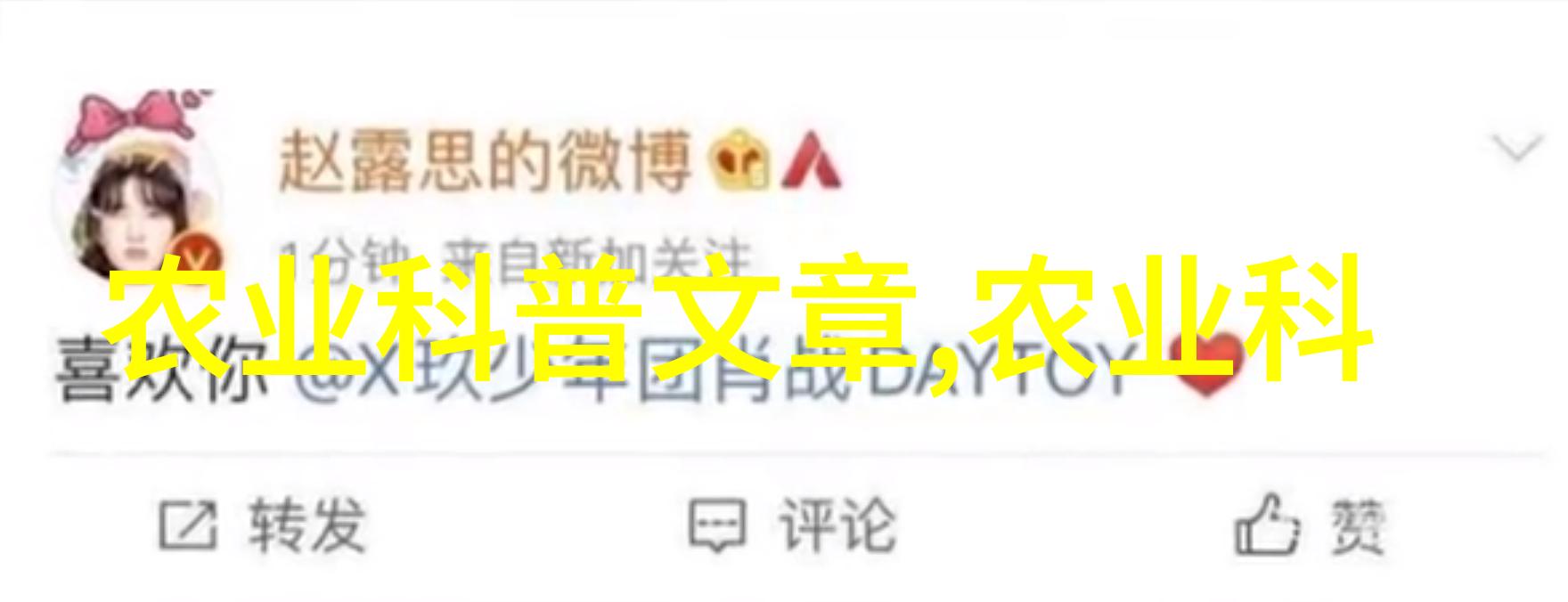草本奇珍揭秘中药材价格榜的前五强