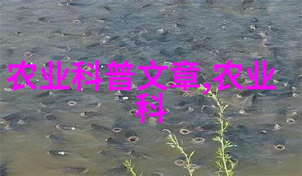 牧场上的金钱之争牛羊驴哪个更赚钱