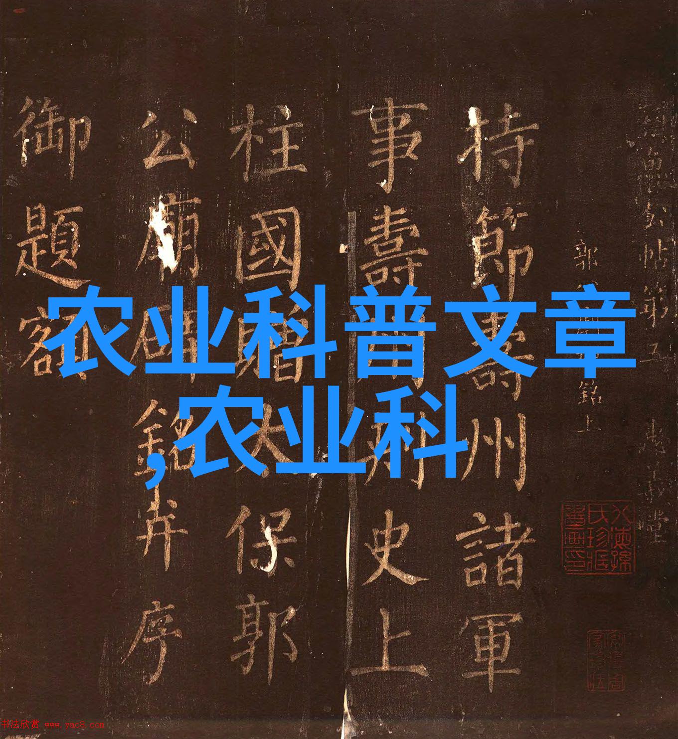 种花种子的方法步骤我来教你怎么轻松种出漂亮的花儿