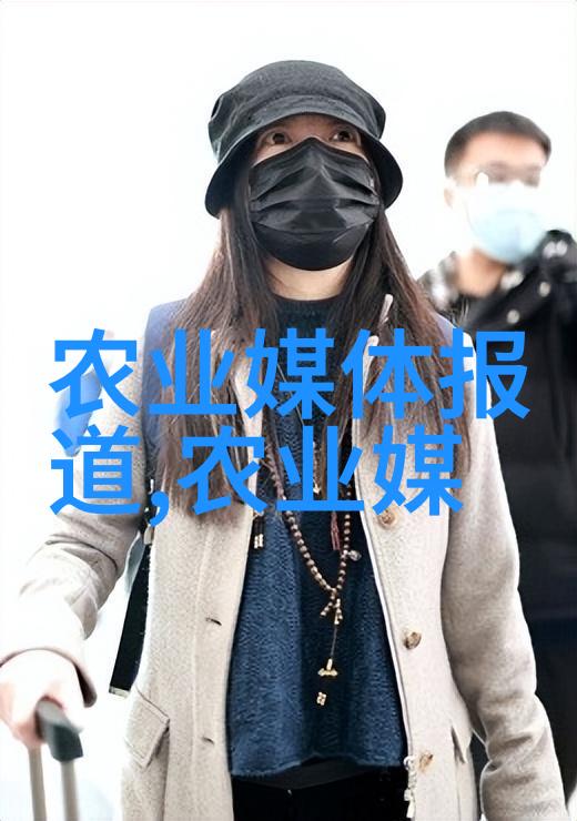 冬日蔬菜园暖阳下的生机勃勃