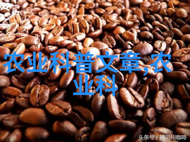 茶韵编织揭秘茗香之谜