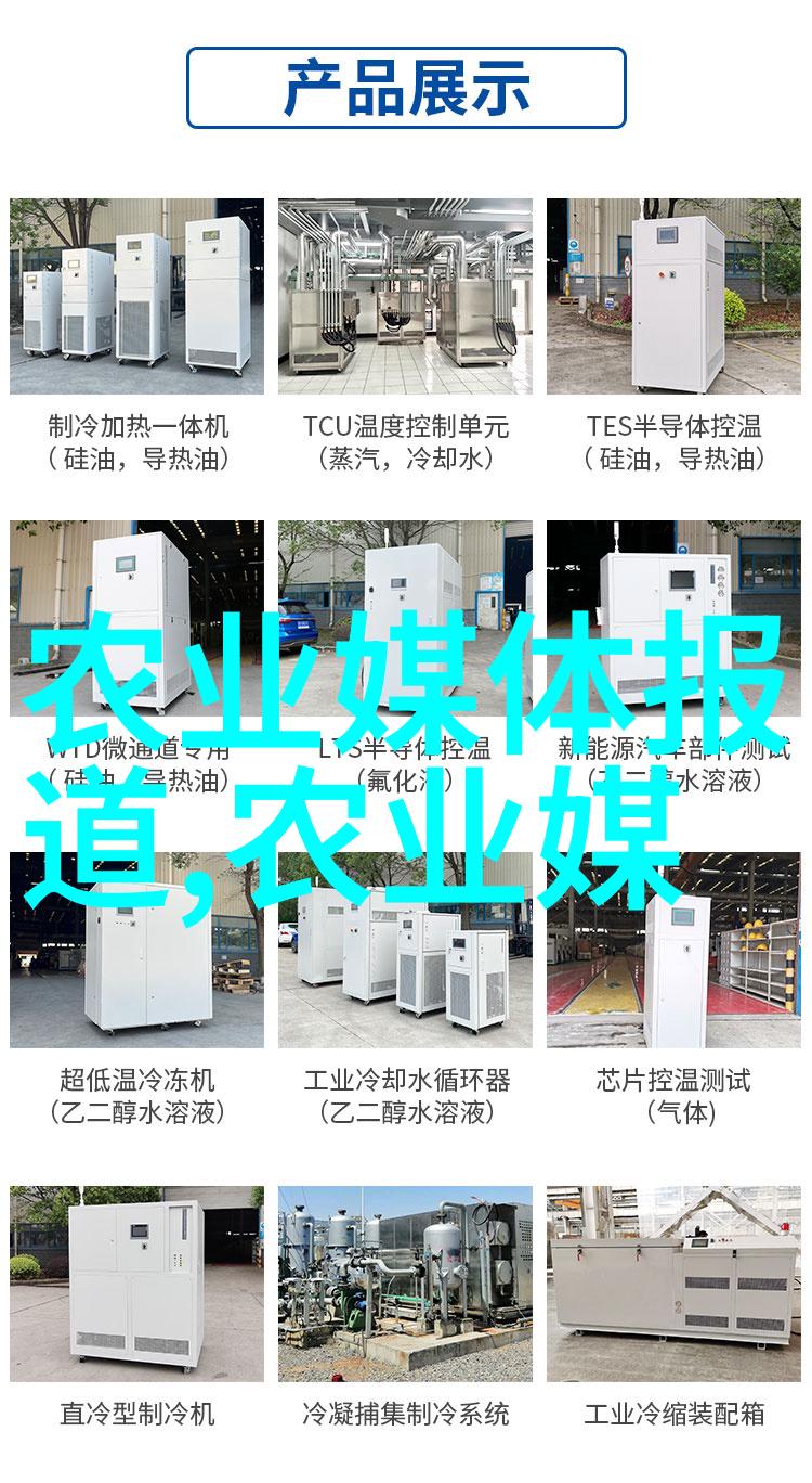 春季盛开郁金香的种植技巧与最佳播种时机