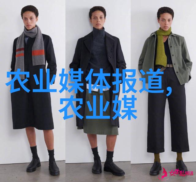 缓慢的碰撞驾驶者的力量与意志