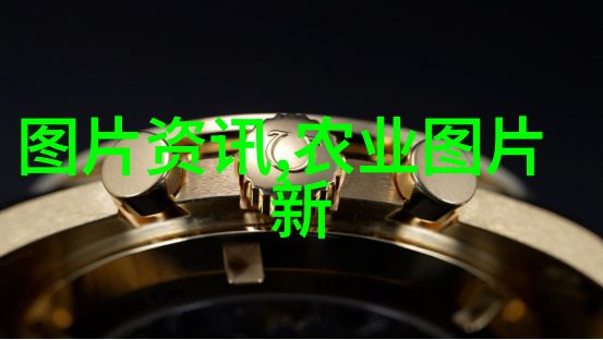 绿意盎然的水中花园无土水培蔬菜种植探秘