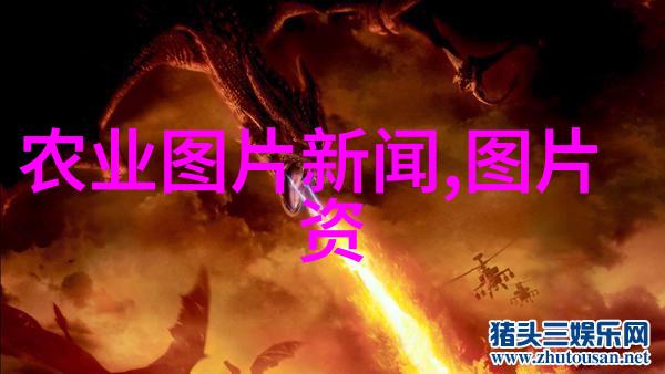 春季园艺热潮中的红果冬青树15至18元的珍贵之选