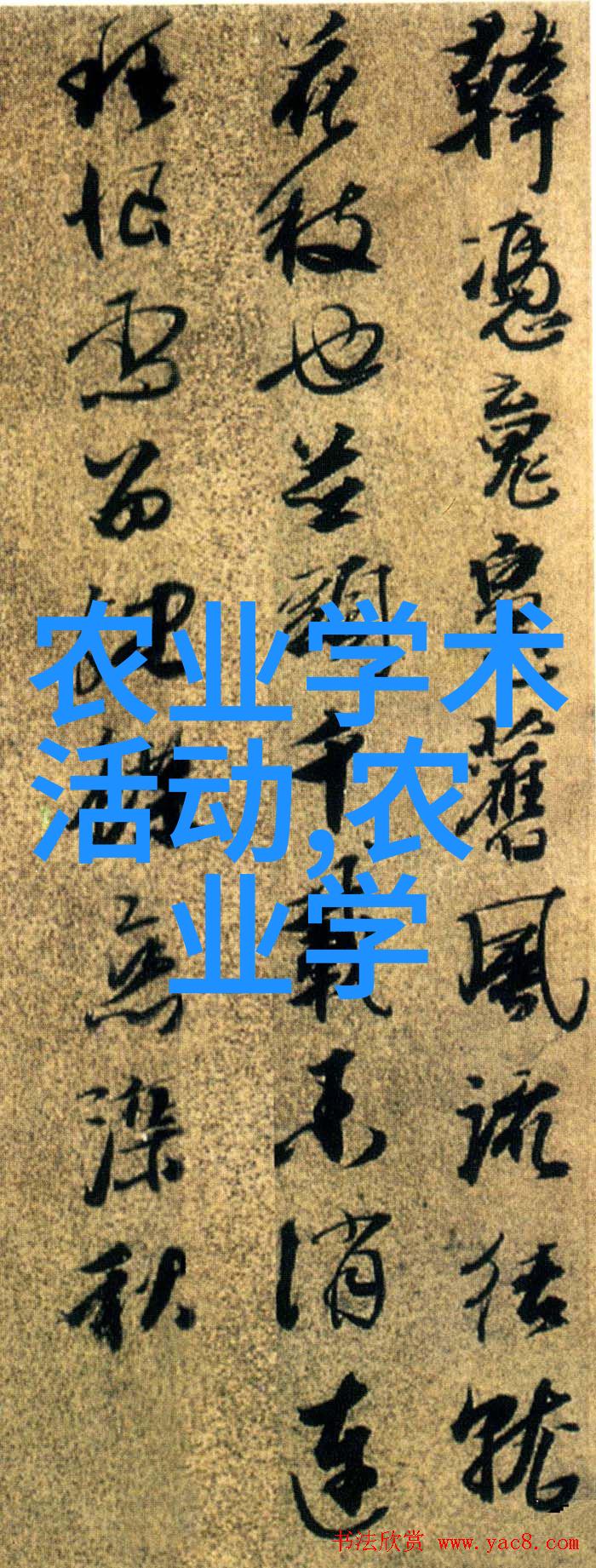 液力传动技术在重型机械上的应用案例
