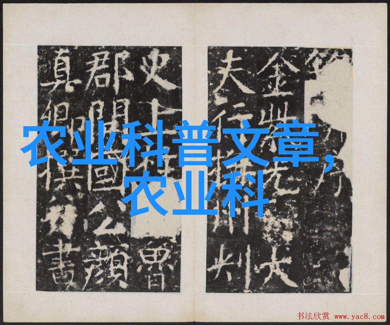 寒蝉微舞揭秘冬日室外的耐寒花朵
