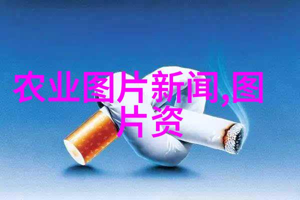 凡尘飞仙-倾城之恋凡尘中介的飞仙梦