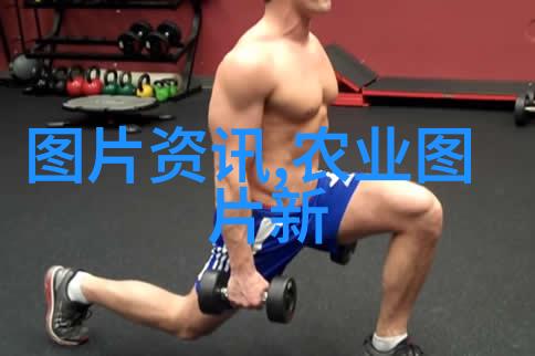 茶树修剪技巧促进健康生长和丰收