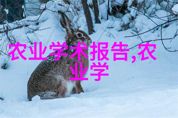 欧洲理事会主席科斯塔通电话