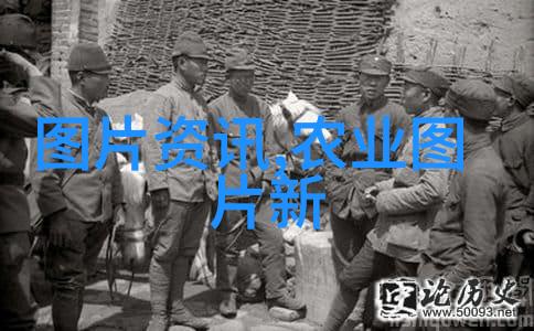 北方可以种植哪些水果 - 冰箱里的阳光探索北方适宜种植的水果之谜