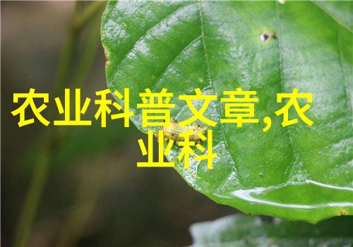 金叶复叶槭价格表2021高品质园艺植物种植费用详细明细