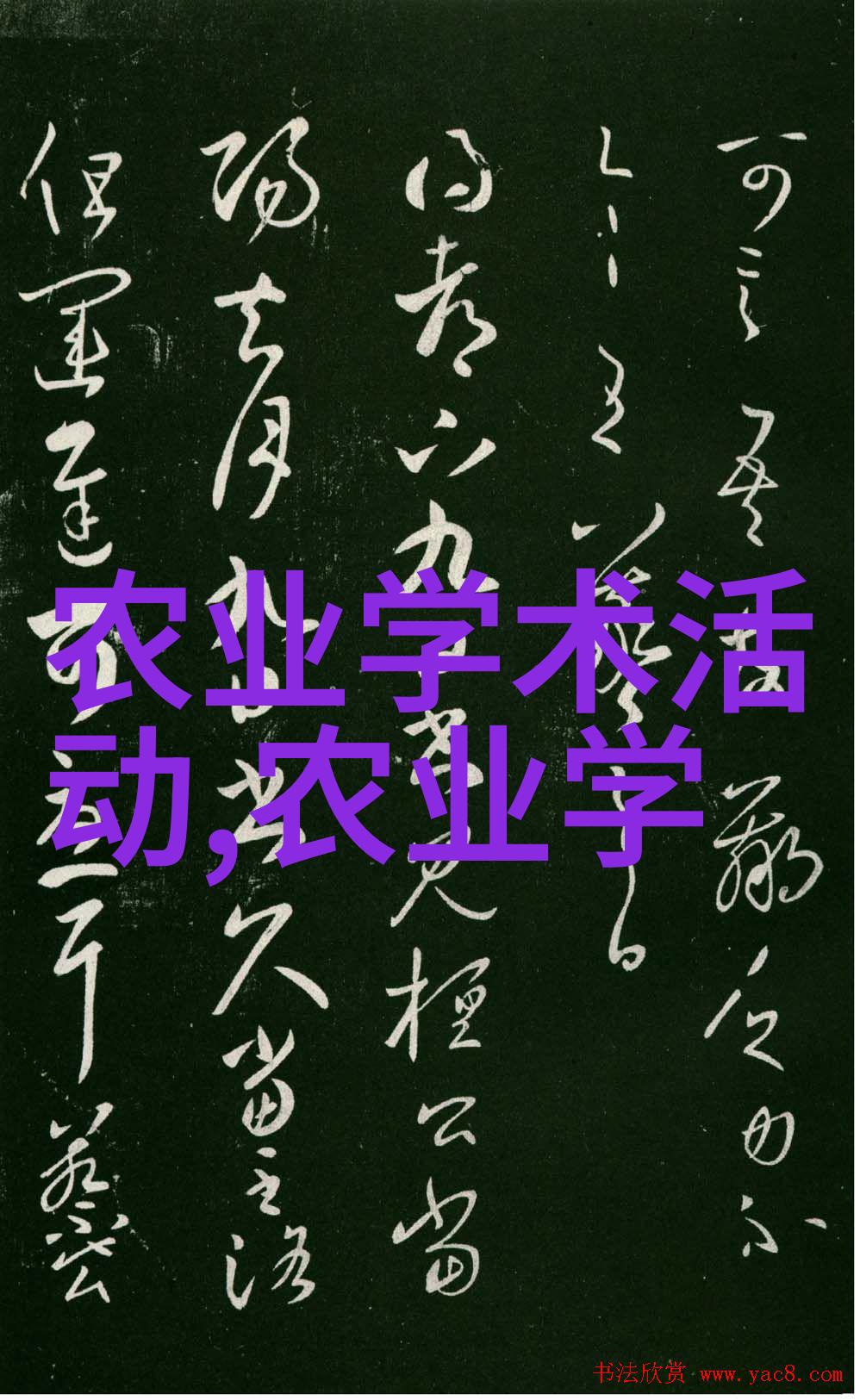如何通过优化培育技术提高药材的经济价值