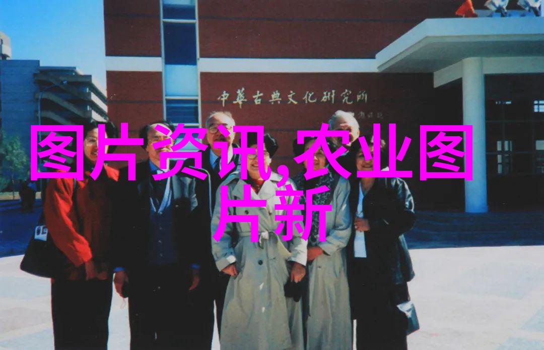 10亩连栋大棚造价背后究竟隐藏着多少金钱的秘密