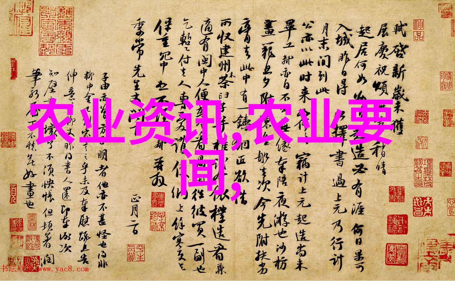 花卉百科我带你去探秘那些颜值爆表的植物