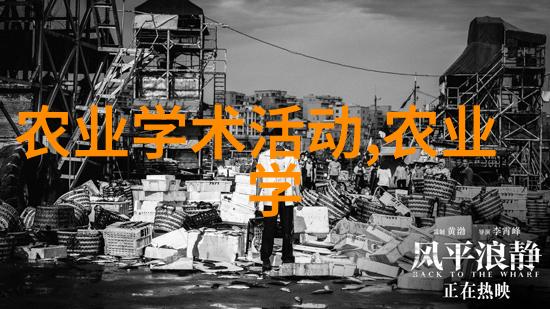 鸡爪槭价格12公分的奇迹