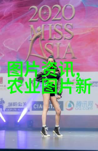 双蜂王困境如何处理一箱蜜蜂出现两个王的异常情况