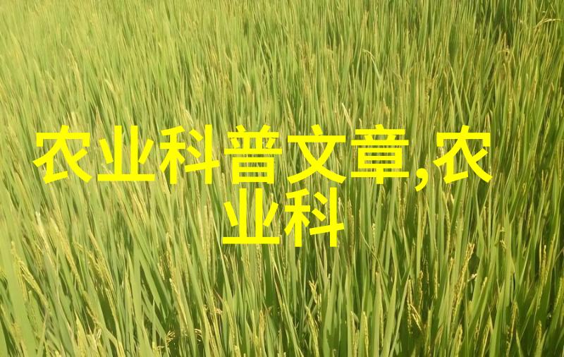 茶文化-品味茶香揭秘世界上最古老的饮品