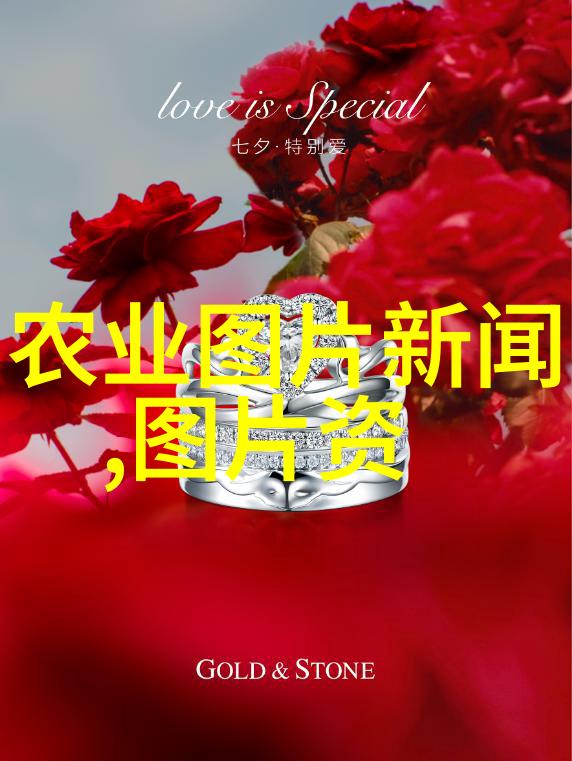 绿色食源蔬菜的无土大棚盛宴