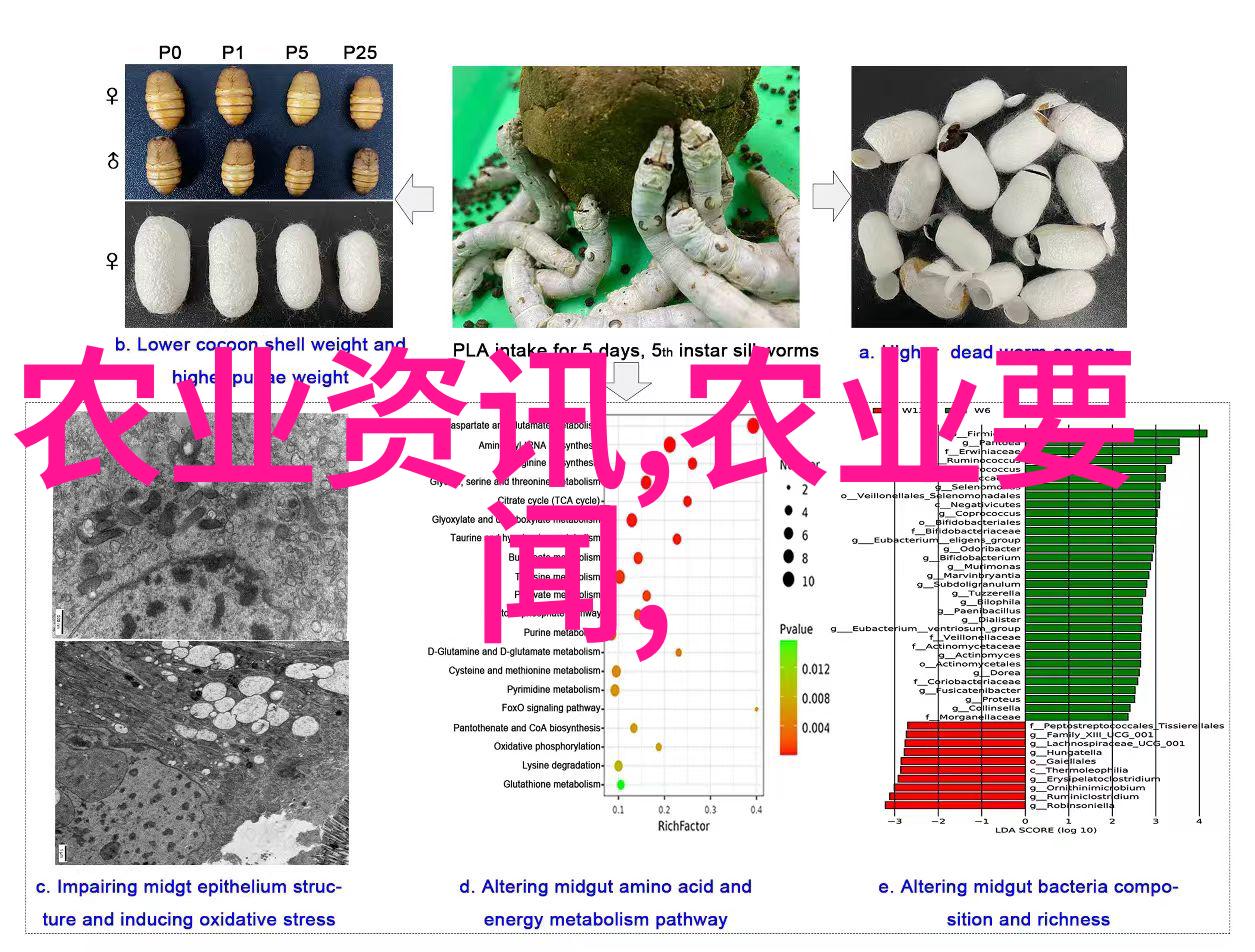 中国股市投资策略分析风险控制与收益最大化
