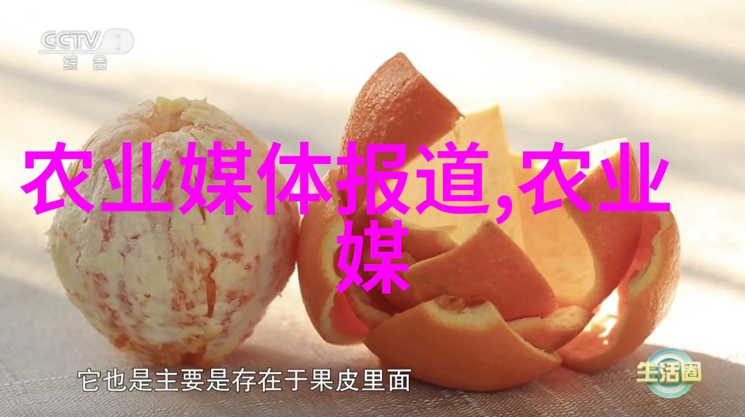 云南十大花卉基地中的露薇种植与方法同出一辙