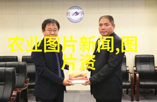 蔬菜无土栽培革命探索新技术的绿色未来