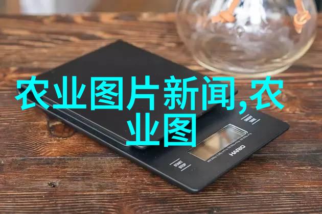 茶香悠扬的养生之道
