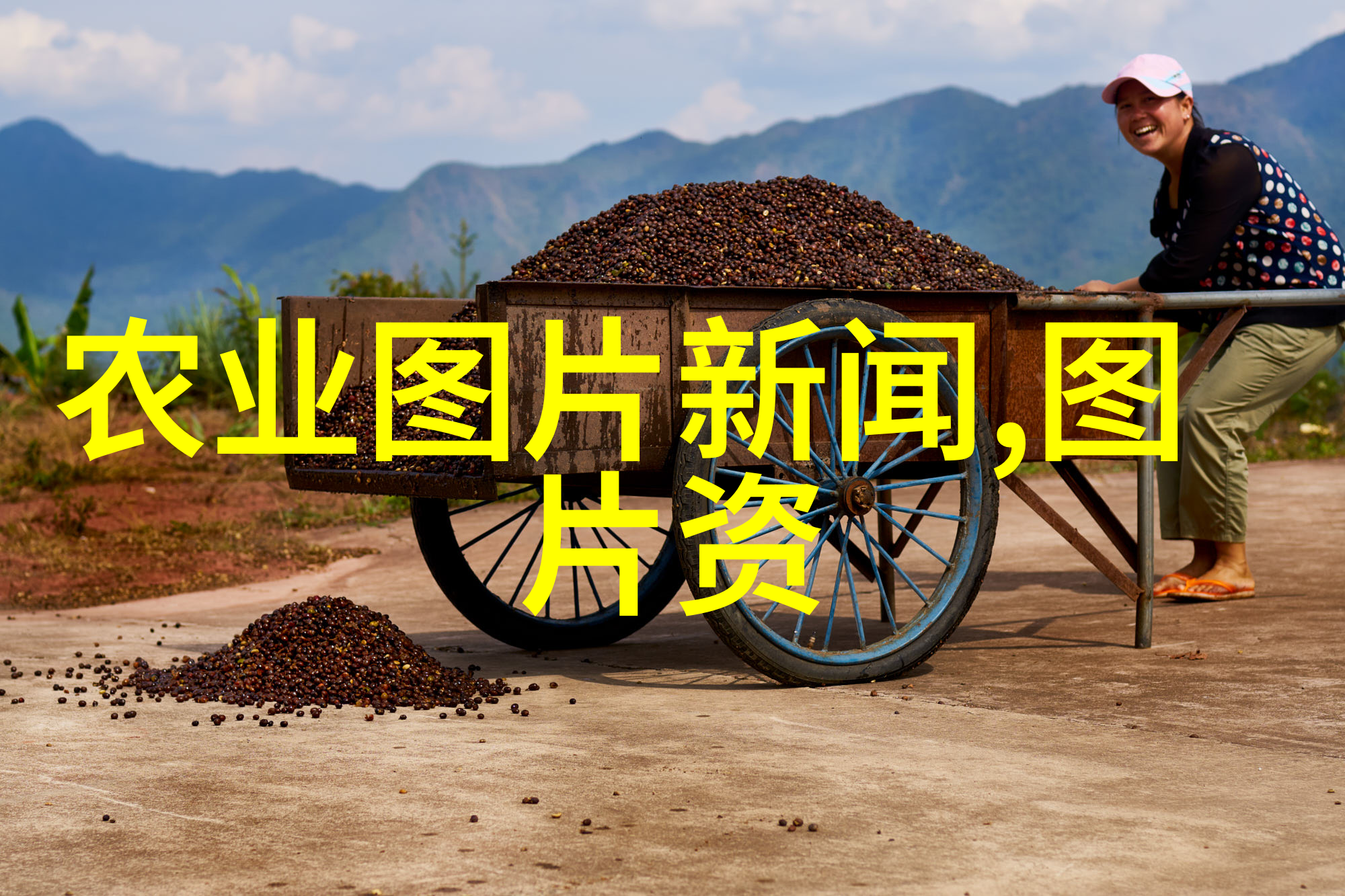从种子到成材见证了一个城市绿化梦想的实现  浦东新区标杆项目案例研究
