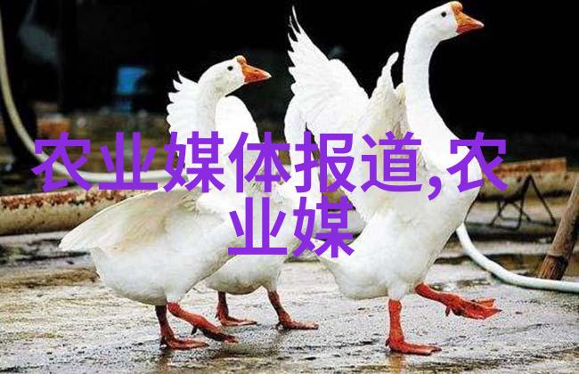 花卉种植校本教材我来告诉你从小手中培育大花朵亲子共享的花香日记