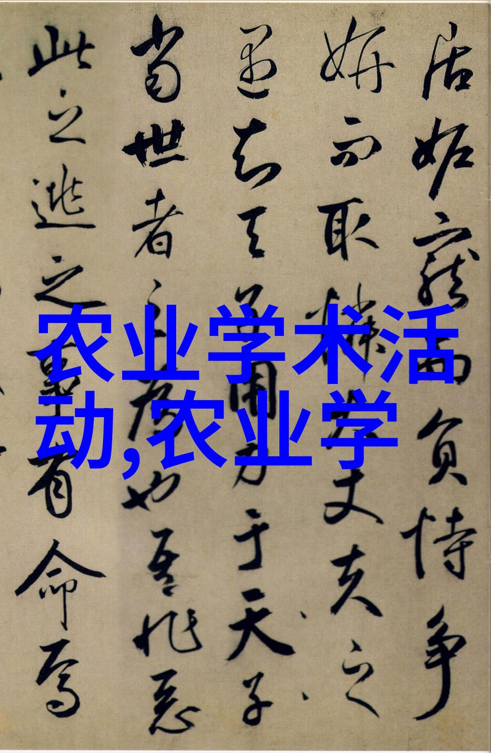 深潜虾池的秘密揭开养虾成功之谜